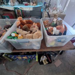 Stuffed Animal Lot