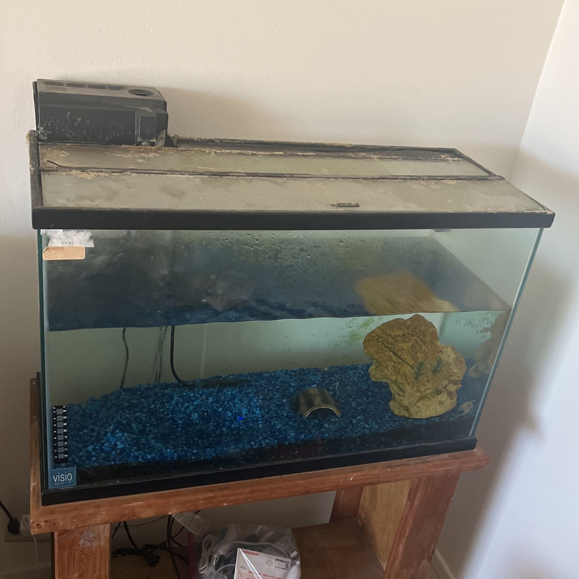 45 Gallon Fish Tank With Filter | Air And Temperature Regulator