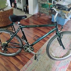 Vintage 90's Schwinn Bike