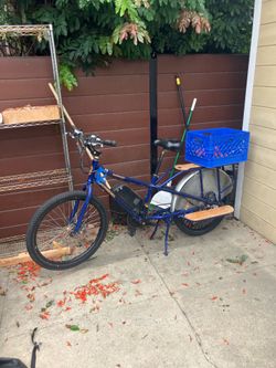 2017 RadWagon cargo e bike