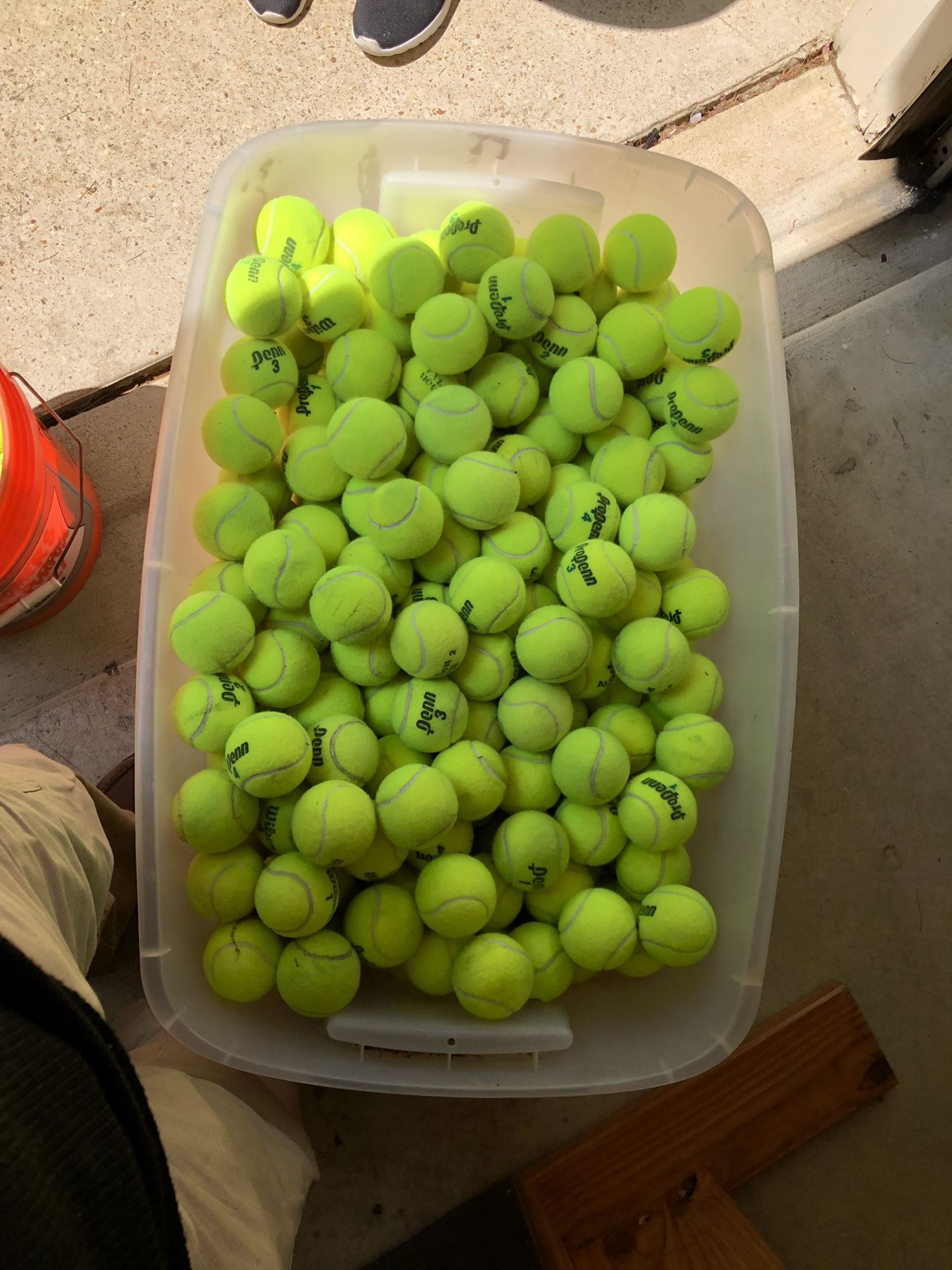 More than 500 used yellow tennis balls
