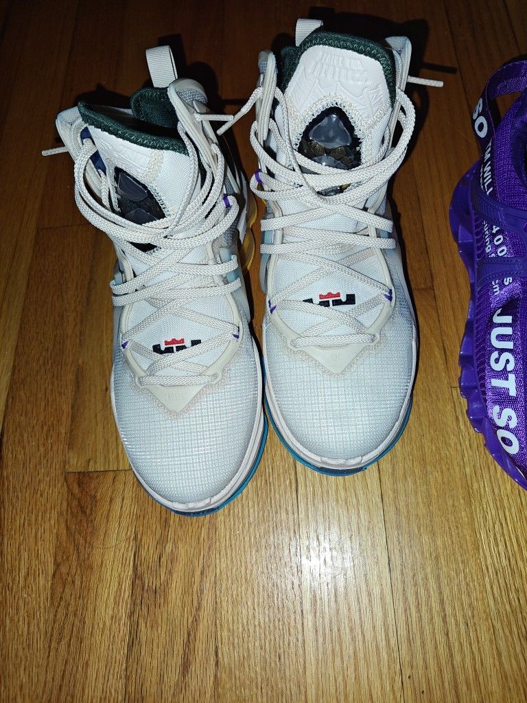 Nike LeBron 19 Minneapolis Lakers Pearl White DC9339 200 Mens Size 13 for  Sale in West Nyack, NY - OfferUp