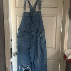 Adult American Eagle Overalls