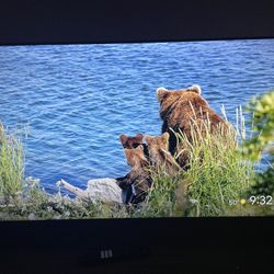 TCL 43” 4K Smart TV (43S450G) – Google TV