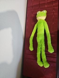 Long skiny frog 🐸