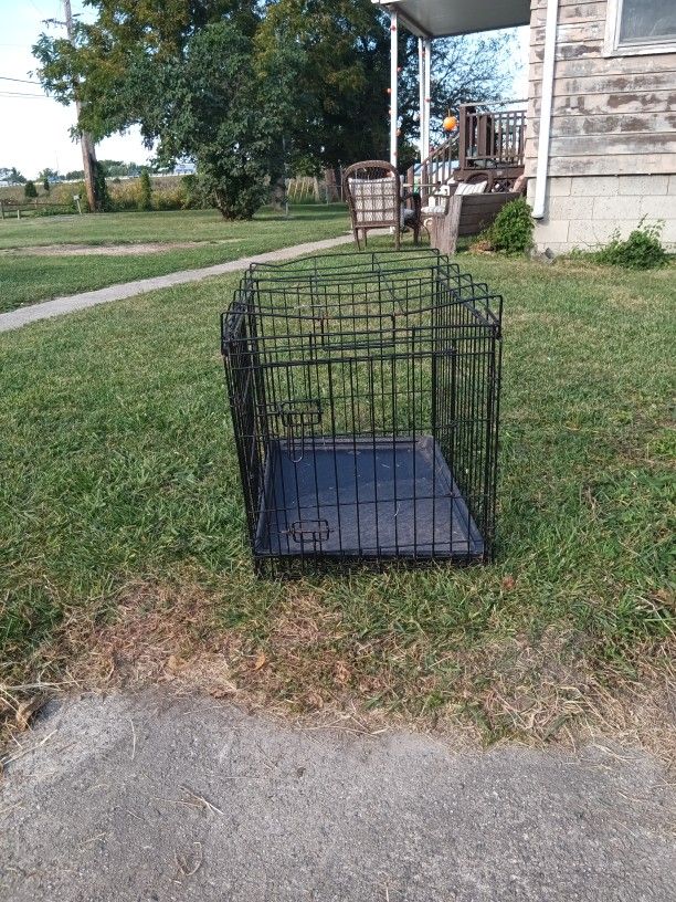 Dog Kennel