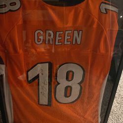 A.J. Green Signed Jersey  