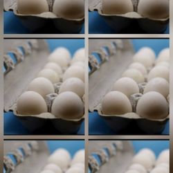 Buy 5 Dozen Duck Eggs Get 1 Dozen Free