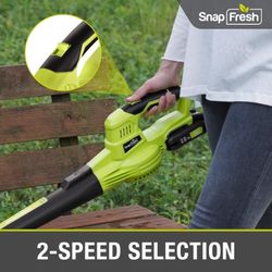 Cordless Leaf Blower 20V Electric with 2.0 Ah Battery and Charger Lightweight 2-Speed, brand new