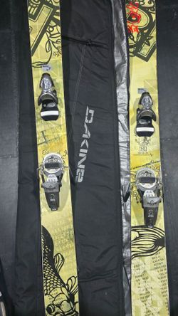 Bluehouse powder skiis and dakine travel case
