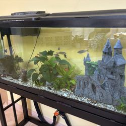 55 Gallon Fish Tank Aquarium With Metal Stand