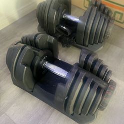 Adjustable bench + set adjustable dumbbells  (increments of 5lb all the way up to 90lbs)  
