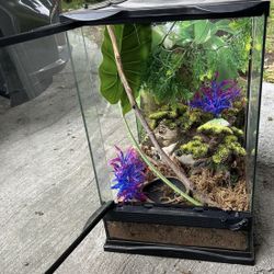 Tank / Terrarium /Reptile