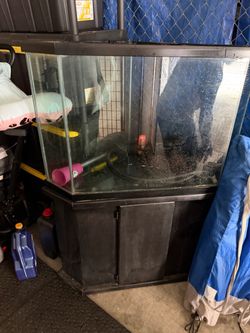 Corner style fish tank
