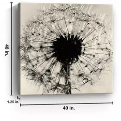 Black and White Dandelion Giclee Canvas Art, Like-New!
