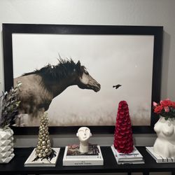 Kimerlee Curyl 40 X 60 Wild Horse Photograph 