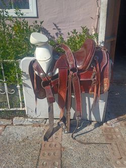 Montura Saddle