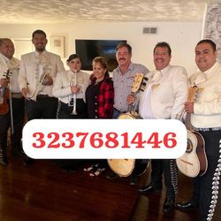 Vihuela Violín Mariachi 
