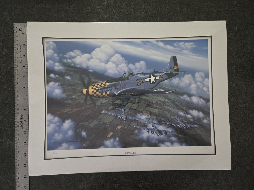 Stan Stokes Military Plane Art Print Top Cover 18.5" X 14"  Sealed P-51D Mustang