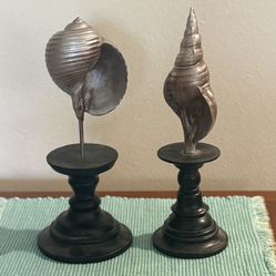 Nautilus Shell Sculptures On Wood Bases