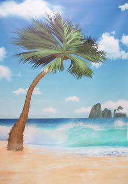 Photography backdrops