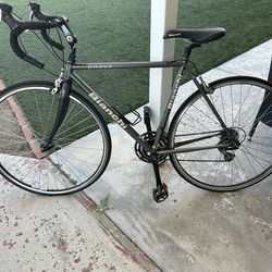 Bianchi Brava