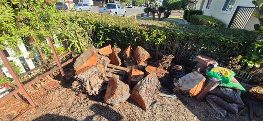 Dry logs
