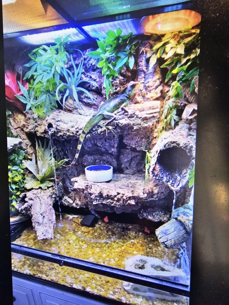 Custom Paludarium Corked With Multiple Water Features
