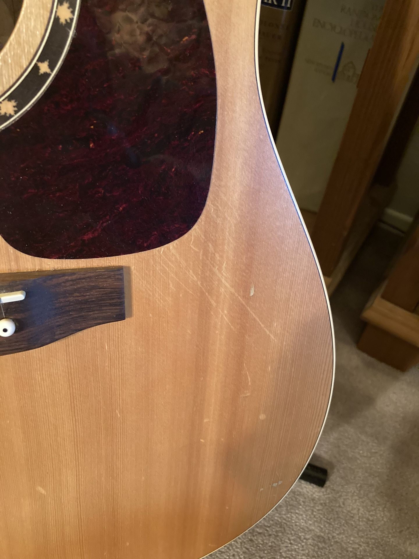 Norman B20 Acoustic Guitar