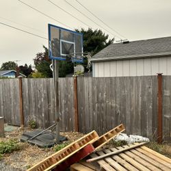 Basketball Adjustable Hoop