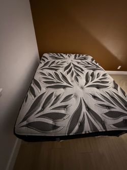 Queen Size Mattress