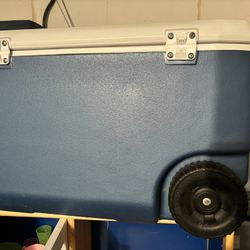 Coleman Cooler