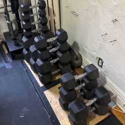 Dumbbells And Barbells 