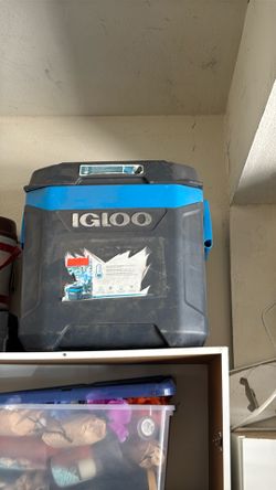 Ice chest