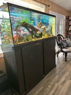 Fish Tank
