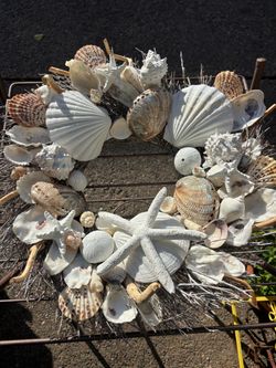 Wreath Beautiful Real Seashells & Driftwood