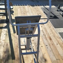 Shoulder Extensions No Weights Needed! 100 Obo