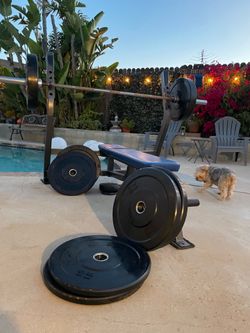 Olympic bar, and weight sBench Olympic bar, and weight