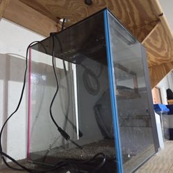 Fish Tank