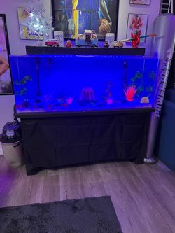 Acrylic 60 gallon fish tank
