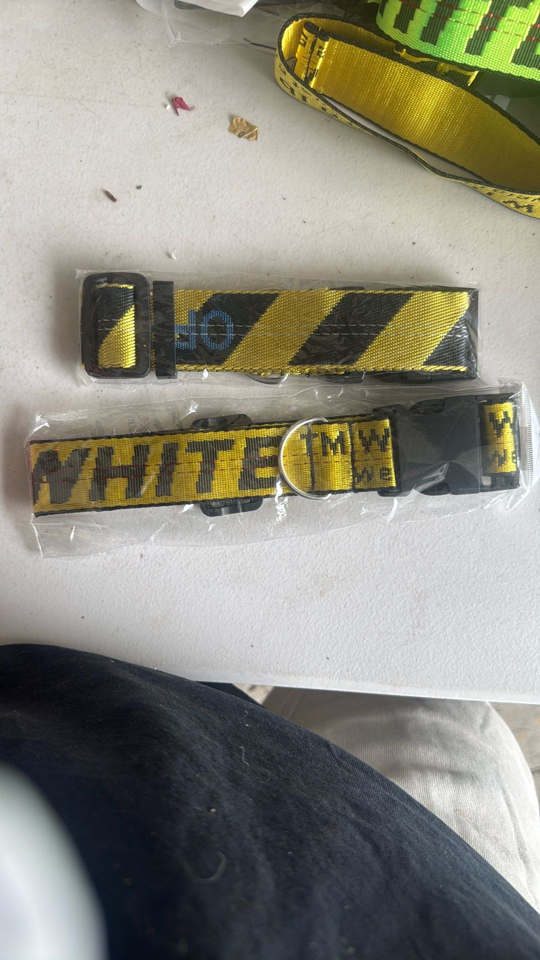 Off White Dog Collar