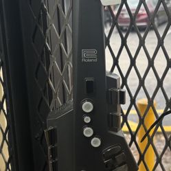 Roland Aerophone Digital Wind Instrument