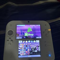 Nintendo 2ds