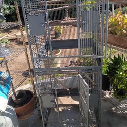 Bird Cages