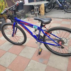 Trek Bike