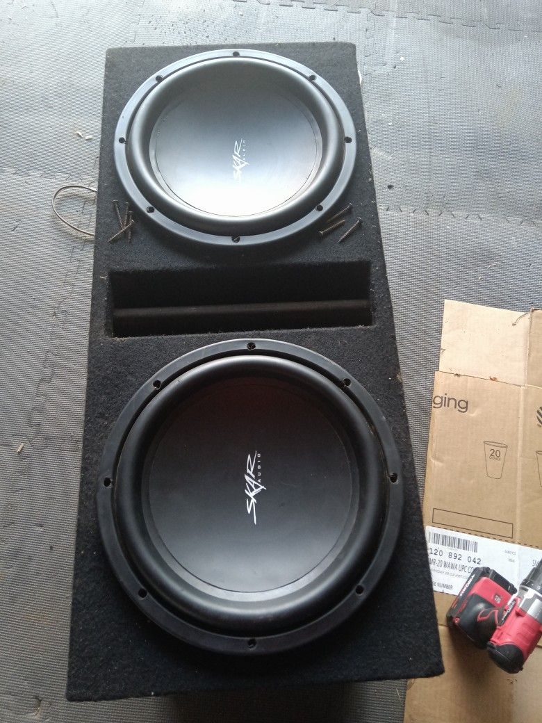 Rare Skars 12 Inch Don't Know Model Or Watts But They Hit Hard So As Is $350