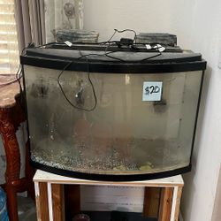 36 Gallon Bowl front Aquarium 