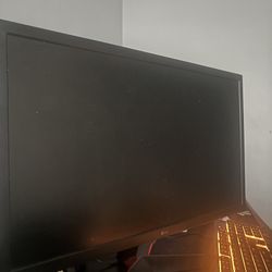 LG Monitor 