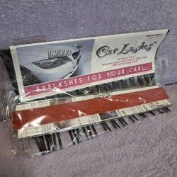 EYE LASHES FOR YOUR CAR  $20