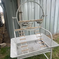 Parrot Playstand